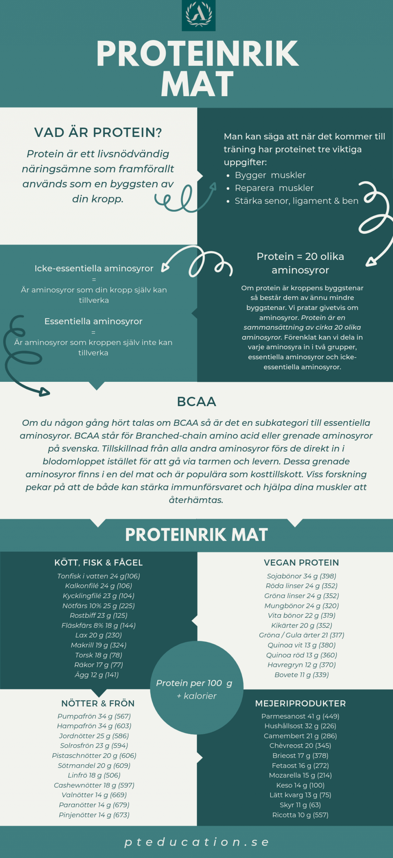 Proteinrik mat infographic Allt om protein och mat